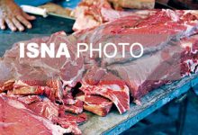 کاهش ۶۲ درصدی واردات گوشت؛ اختلاف قیمت در شبکه توزیع