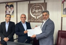 معاون وزیر جهاد کشاورزی: توسعه صنایع تبدیلی راهکار حل بحران هدررفت محصولات کشاورزی است