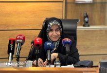 عضو کمیسیون اقتصادی مجلس: حمایت از خودرو نباید بدون قید و شرط باشد