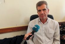 ایلام در جمع ۶ استان برتر تولیدکننده ذرت کشور؛ آغاز تحول در راندمان آبیاری و کشت مستقیم