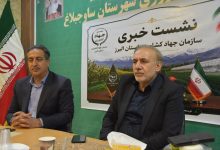 کاهش قدرت خرید مردم، چالش اصلی بازار محصولات کشاورزی/ تعیین قیمت محصولات بر اساس هزینه‌های تولید و شرایط بازار