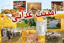 امنیت غذایی؛ اولویت راهبردی کشور در گرو تولید داخلی و خودکفایی