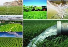 افزایش چشمگیر تعداد هنرستانهای کشاورزی؛ از ۵ واحد در سال ۱۴۰۰ به ۳۷ واحد