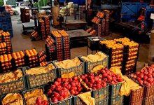 مطلوبیت تولید میوه‌های پاییزی در تهران؛ کاهش حاشیه سود باغداران