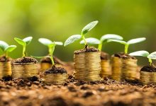 تاکید بر ضرورت بیمه ارتقایی گندم برای حمایت از کشاورزان در برابر حوادث