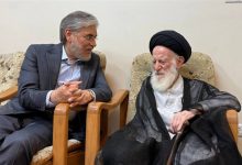 وزیرعلوم: آیتالله شبیری زنجانی تجلی زیست اخلاقی علامه طباطبایی بود