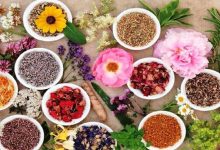 تبدیل ایران به قطب صادرات محصولات ارگانیک با تکیه بر تنوع گیاهی