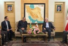 ورود وزیر کشور پاکستان به تهران با استقبال مومنی