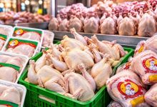 زیان ۹۰ هزار تومانی مرغداران در ازای فروش هر کیلو مرغ؛ درخواست خرید حمایتی و تسهیل صادرات