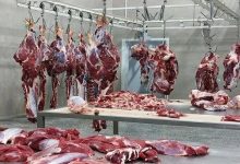 کاهش چشمگیر واردات گوشت قرمز؛ تولید داخلی پاسخگوی نیاز بازار است