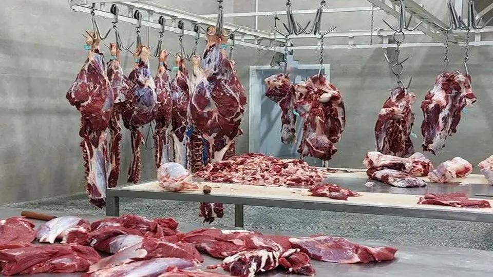کاهش چشمگیر واردات گوشت قرمز؛ تولید داخلی پاسخگوی نیاز بازار است / واردات گوشت , تولید داخلی , انجمن واردکنندگان گوشت , بازار گوشت , قیمت گوشت