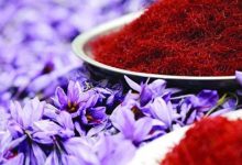قاچاق زعفران؛ چالش جدید صادرات یا راهکار دور زدن تحریمها؟