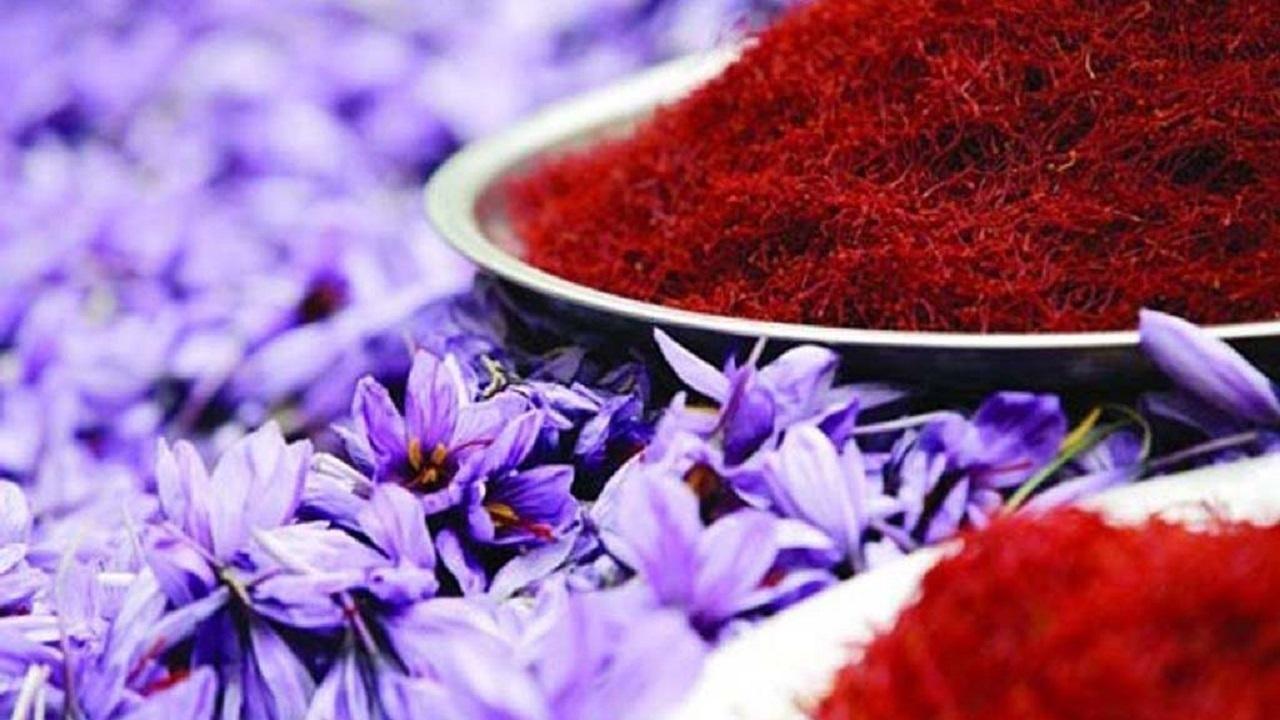 قاچاق زعفران؛ چالش جدید صادرات یا راهکار دور زدن تحریم‌ها؟ / زعفران , صادرات زعفران , قاچاق زعفران , شورای ملی زعفران , ارزآوری