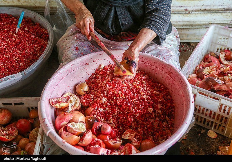 سومین جشنواره «انار ترشی» در دازمیرکنده ساری