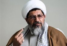 حجتالاسلام شیرازی: برادر شهیدم نوکری ولایت را افتخار میدانست