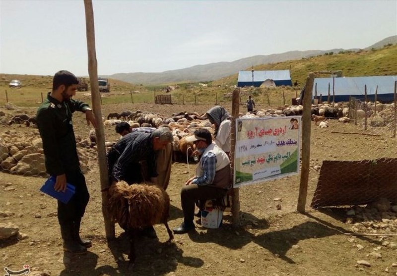واکسیناسیون بیش از 527 هزار رأس دام در قزوین / اخبار قزوین - اخبار استانها