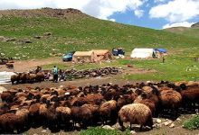 امضای تفاهمنامه همکاری برای تسهیل دسترسی جامعه عشایری به خدمات حقوقی