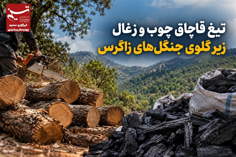 گزارش|تیغ قاچاق چوب و زغال زیر گلوی جنگل‌های زاگرس / اخبار چهارمحال و بختیاری - اخبار استانها