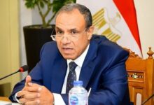 موضع گیری وزیر خارجه مصر درباره سودان
