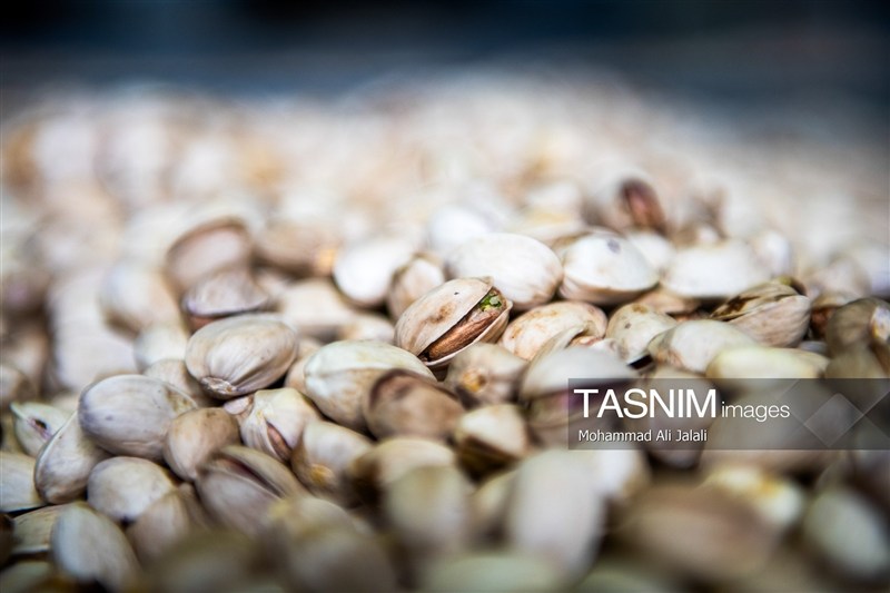 پسته آذربایجان شرقی در مسیر صادرات؛ تسهیل صادرات به اروپا