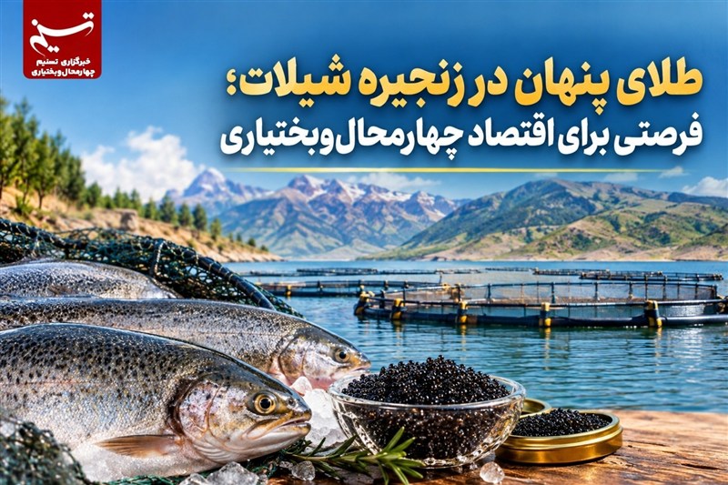 گزارش |طلای پنهان در زنجیره شیلات؛ فرصتی برای اقتصاد چهارمحالوبختیاری