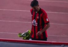 جواد نکونام: تمرکز بر لیگ برتر و جام حذفی، برنامه‌های استقلال را مشخص می‌کند