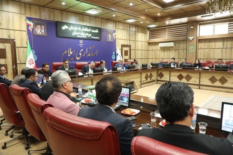 مطالبه سمن‌های ایلام از استاندار؛ از عدالت در سلامت تا مشارکت در امنیت / اخبار ایلام - اخبار استانها