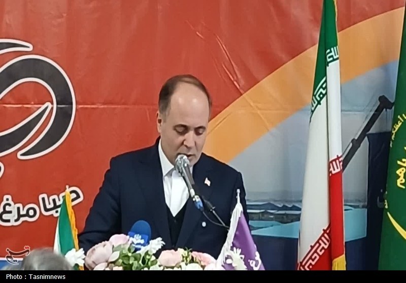 تولید سیب در کشور امسال از 4 میلیون تن فراتر می‌رود