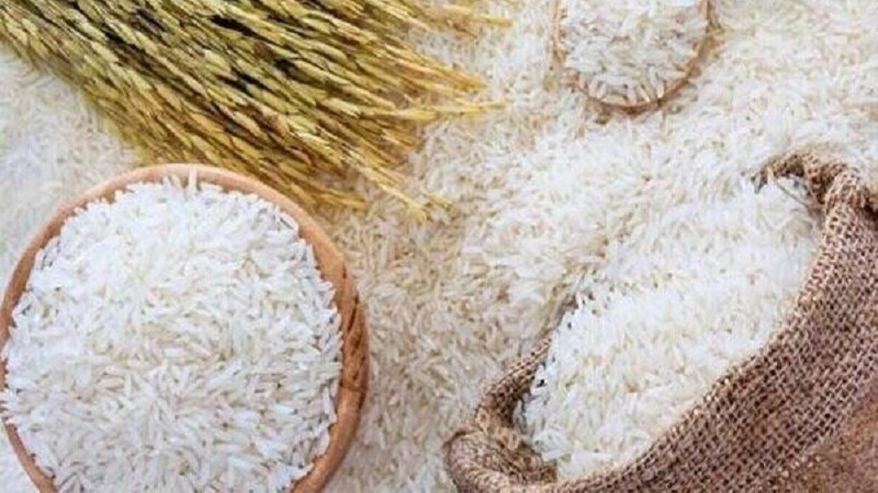 پیشبینی افزایش ۲ میلیون تنی تولید برنج؛ از برداشت ۹۰ درصدی تا گلایه کشاورزان از واردات / تولید برنج , اصناف کشاورزی , واردات برنج , هزینه تولید , قیمت برنج