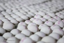 ظرفیت صادرات ۱۰ هزار تنی تخم مرغ در ماه؛ تولید ۱۰۲ هزار تن محصول داخلی