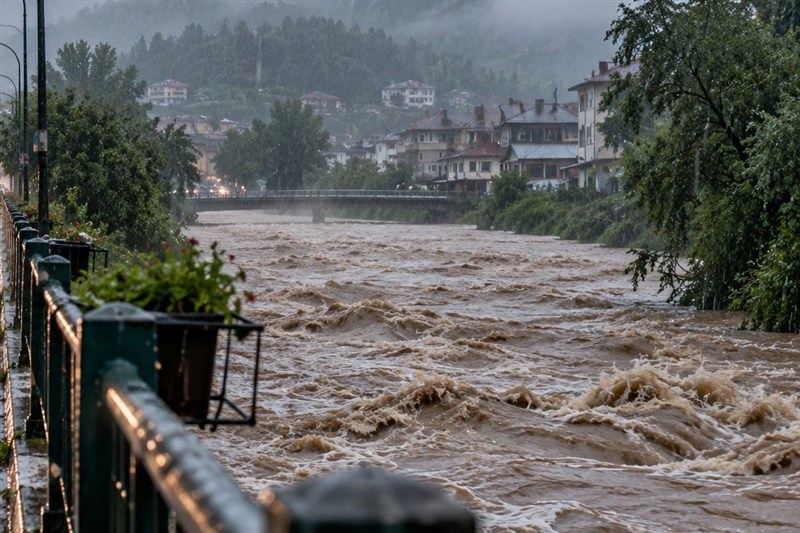 بیمه 17 محصول کشاورزی سمنان آغاز شد / اخبار سمنان - اخبار استانها