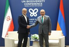 دیدار پزشکیان با پاشینیان